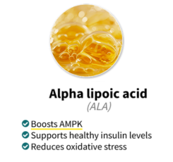 Alpha Lipoic Acid