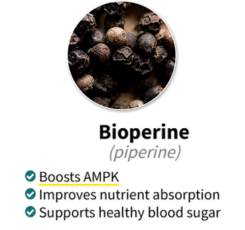 Bioperine (Piperine)