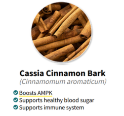 Cassia Cinnamon Bark