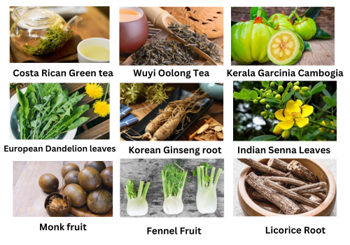 Slim Boost Tea Ingredients